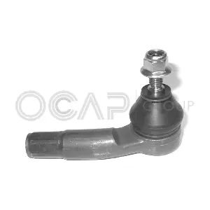 0293819 OCAP