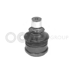 0408091 OCAP