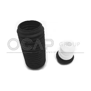 8500108 OCAP