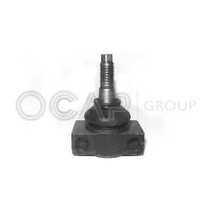 0401841 OCAP