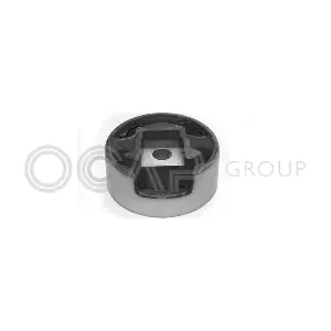 1225048 OCAP