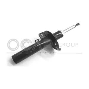 82333FL OCAP