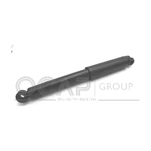 82261RU OCAP
