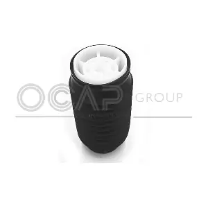 8500101 OCAP