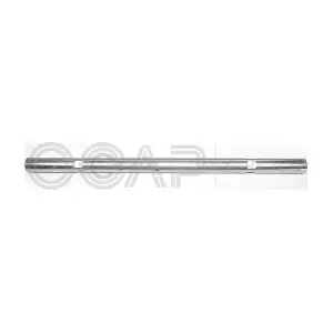 0900801 OCAP