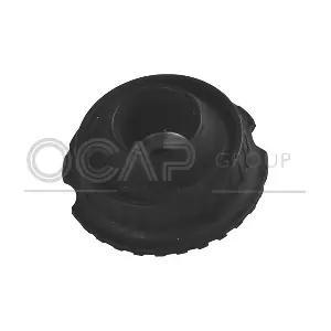 8400118 OCAP