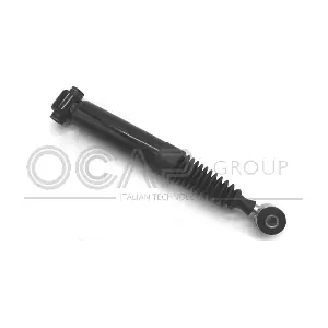 82238RU OCAP