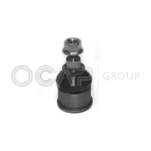 0404366 OCAP