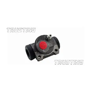 CF065 TRUSTING