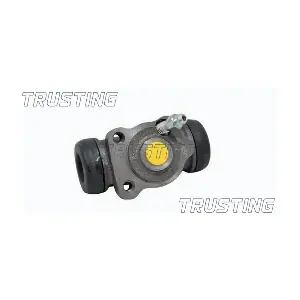 CF456 TRUSTING