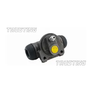 CF135 TRUSTING