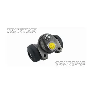 CF020 TRUSTING