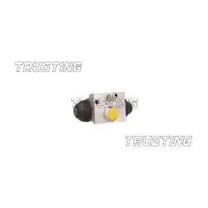 CF1018 TRUSTING