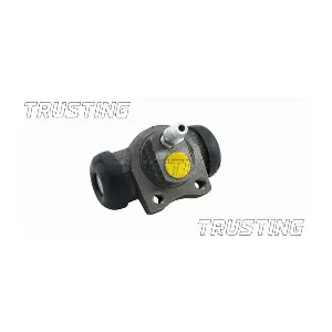 CF152 TRUSTING