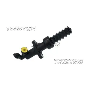 CZ191 TRUSTING
