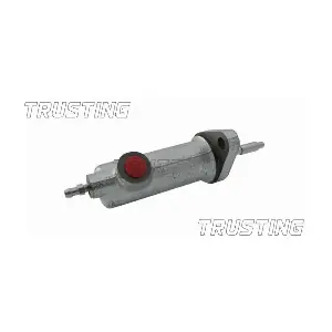 CZ018 TRUSTING