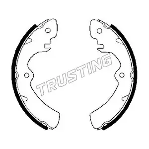 111223 TRUSTING