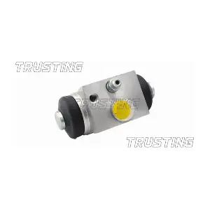 CF162 TRUSTING