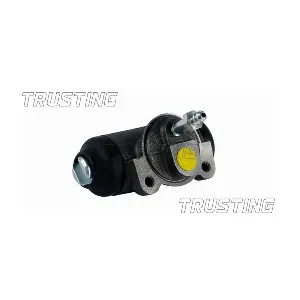 CF1010 TRUSTING