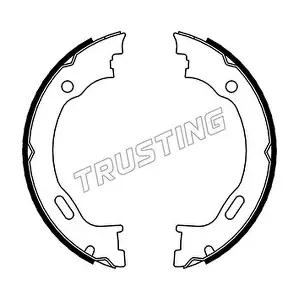 310 TRUSTING