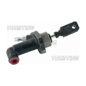 PZ145 TRUSTING