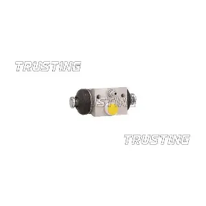 CF1015 TRUSTING