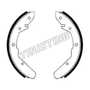 124260 TRUSTING