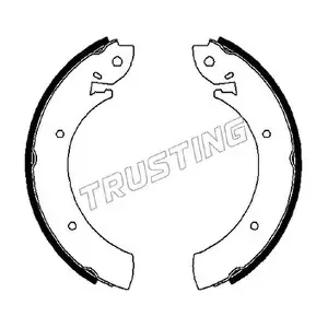 088207 TRUSTING