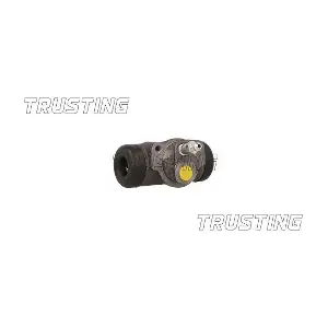 CF1089 TRUSTING