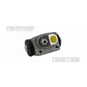 CF585 TRUSTING