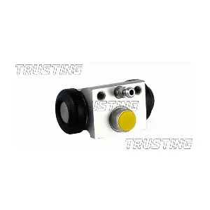 CF1012 TRUSTING
