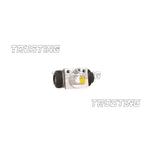 CF1022 TRUSTING