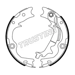 046.231 TRUSTING