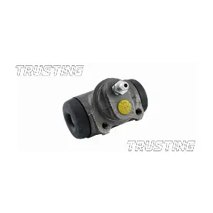 CF813 TRUSTING