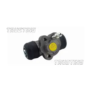 CF214 TRUSTING