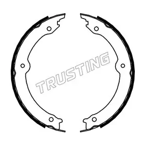 115.323 TRUSTING