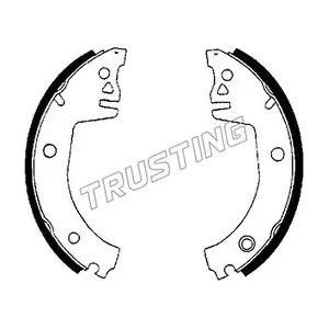 106.218 TRUSTING