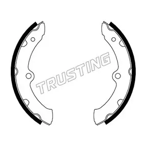 115.334 TRUSTING