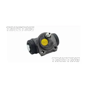 CF060 TRUSTING
