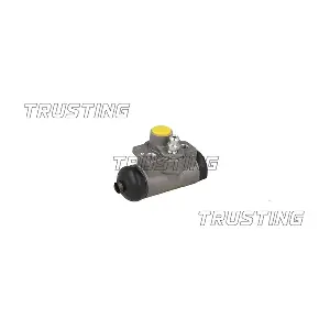 CF1149 TRUSTING