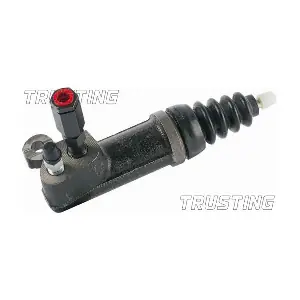 CZ096 TRUSTING