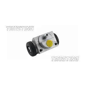CF581 TRUSTING