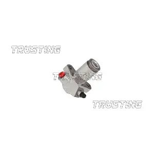 CZ125 TRUSTING