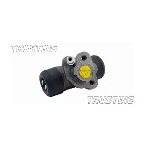 CF215 TRUSTING