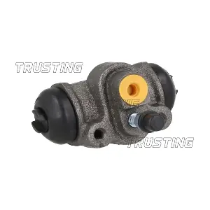 CF1129 TRUSTING