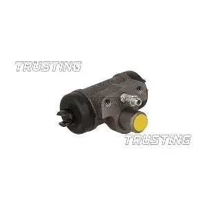 CF1101 TRUSTING