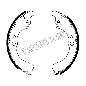 026.343 TRUSTING