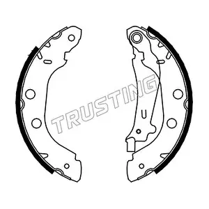 088226 TRUSTING