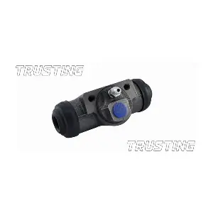 CF833 TRUSTING