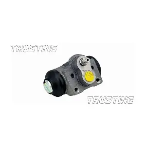 CF975 TRUSTING